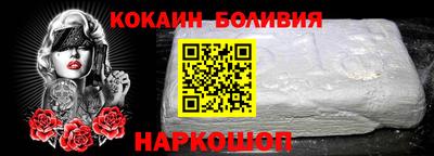 индика Гатчина