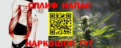 индика Гатчина