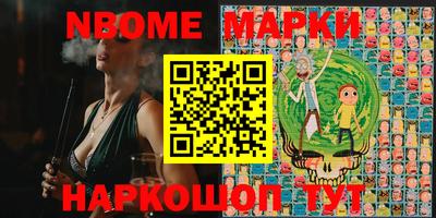 индика Гатчина