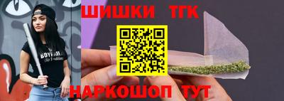индика Гатчина