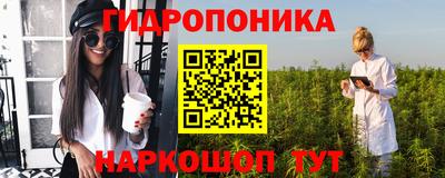 шишки Гагарин