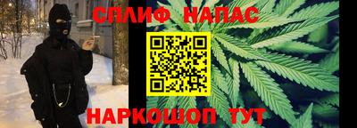 шишки Гагарин