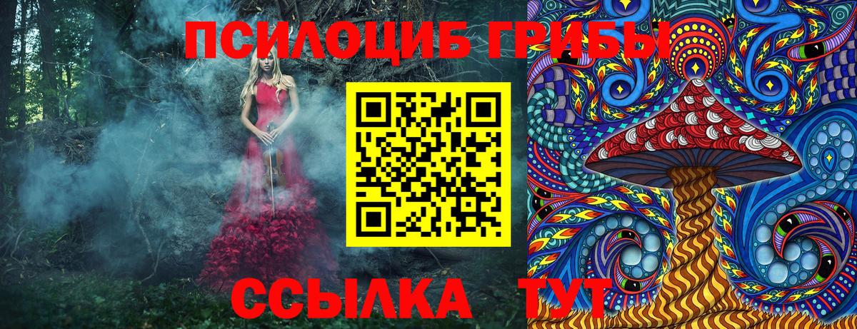 Златоуст  Псилоцибиновые грибы мицелий  Вход с VPN 